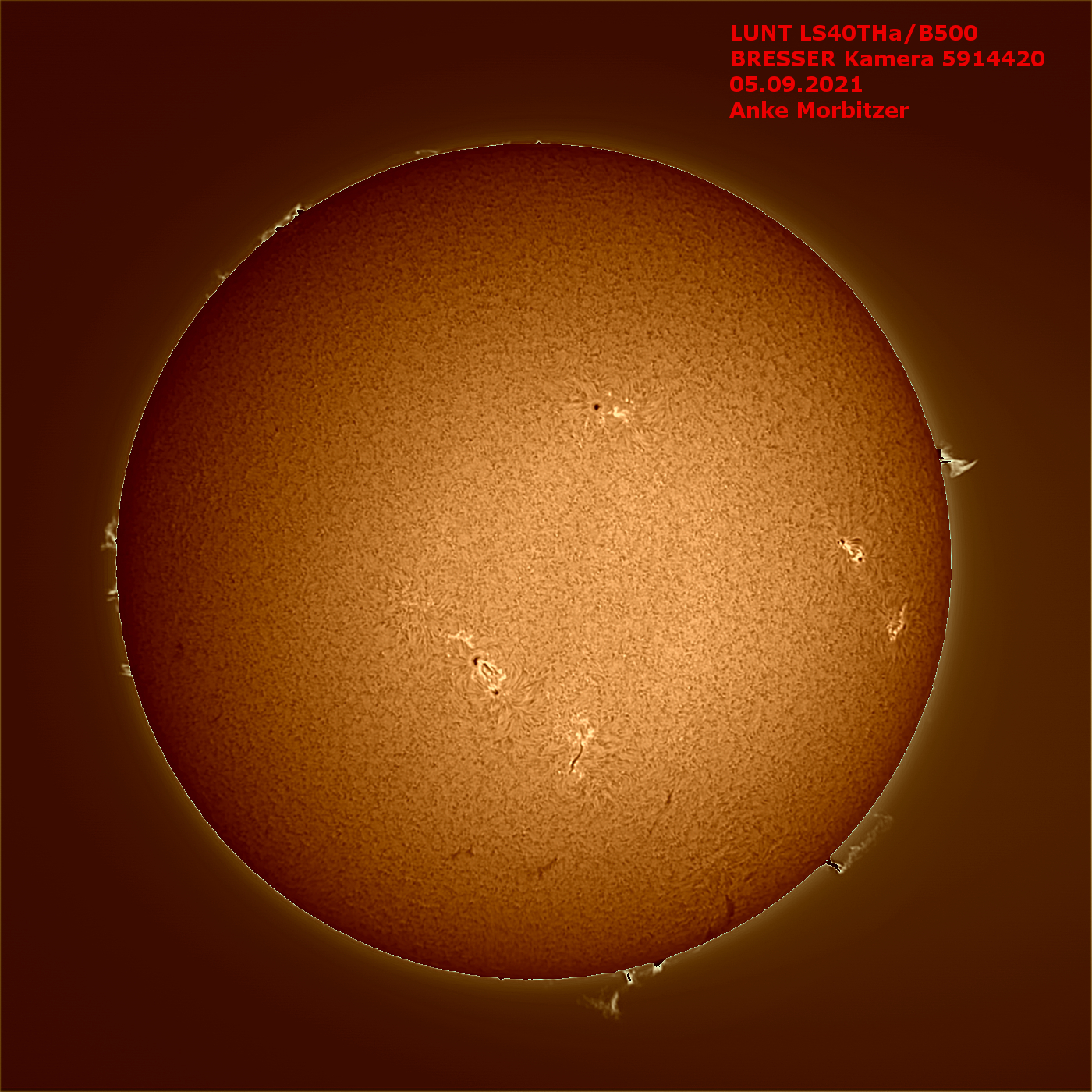 LUNT LS40THa/B500 H-alpha solar telescope