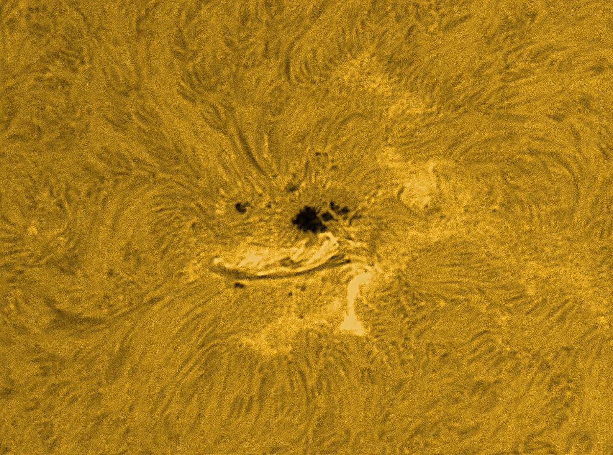 LUNT LS100FHa/B600d2 H-alpha solar filter