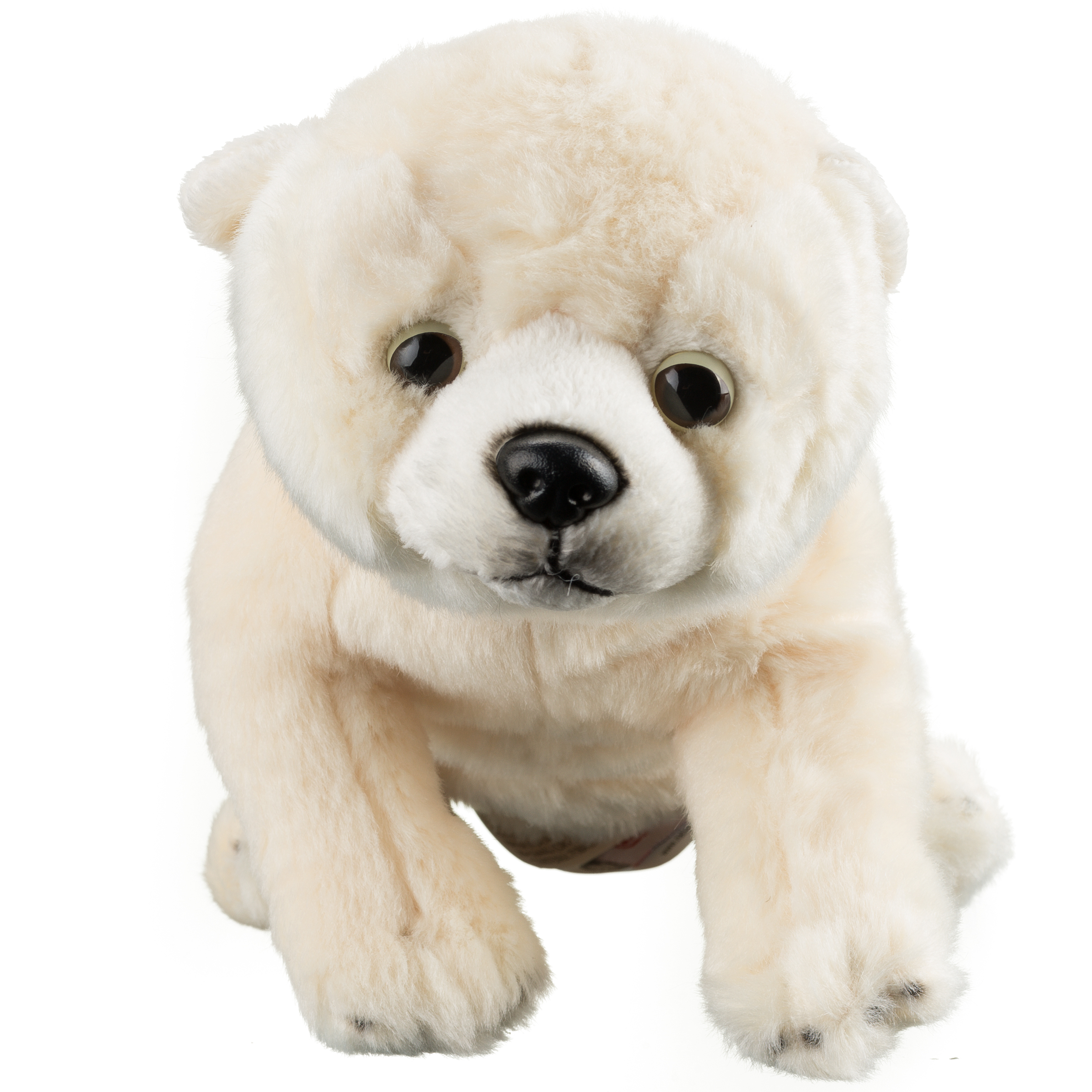 NATIONAL GEOGRAPHIC Plush Animal Babies