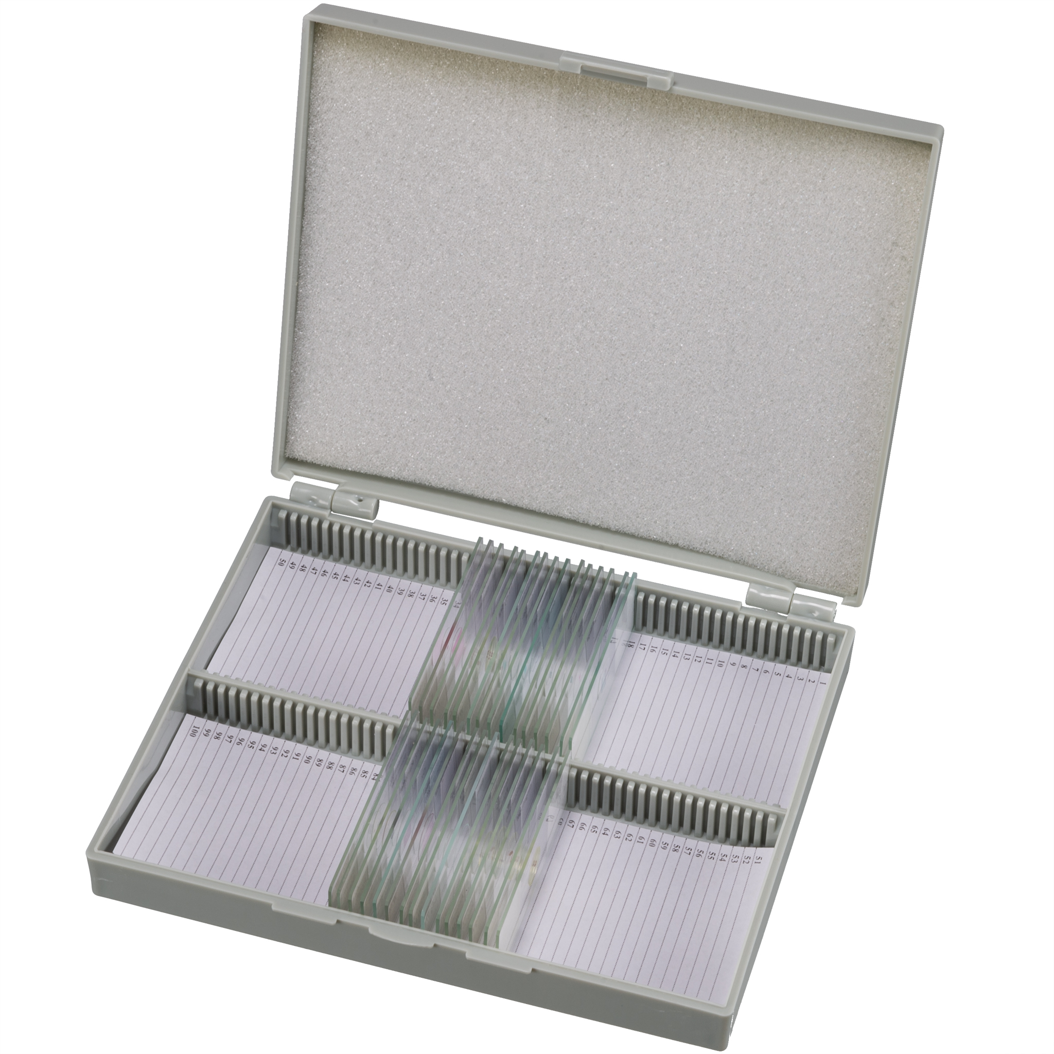 BRESSER Prepared Slides 50 pcs. Box