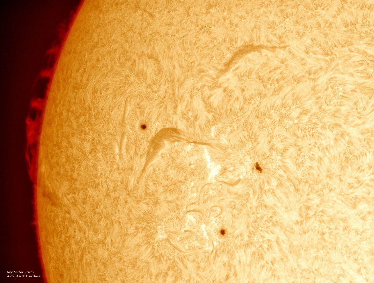 LUNT LS100FHa/B1800d2 H-alpha solar filter