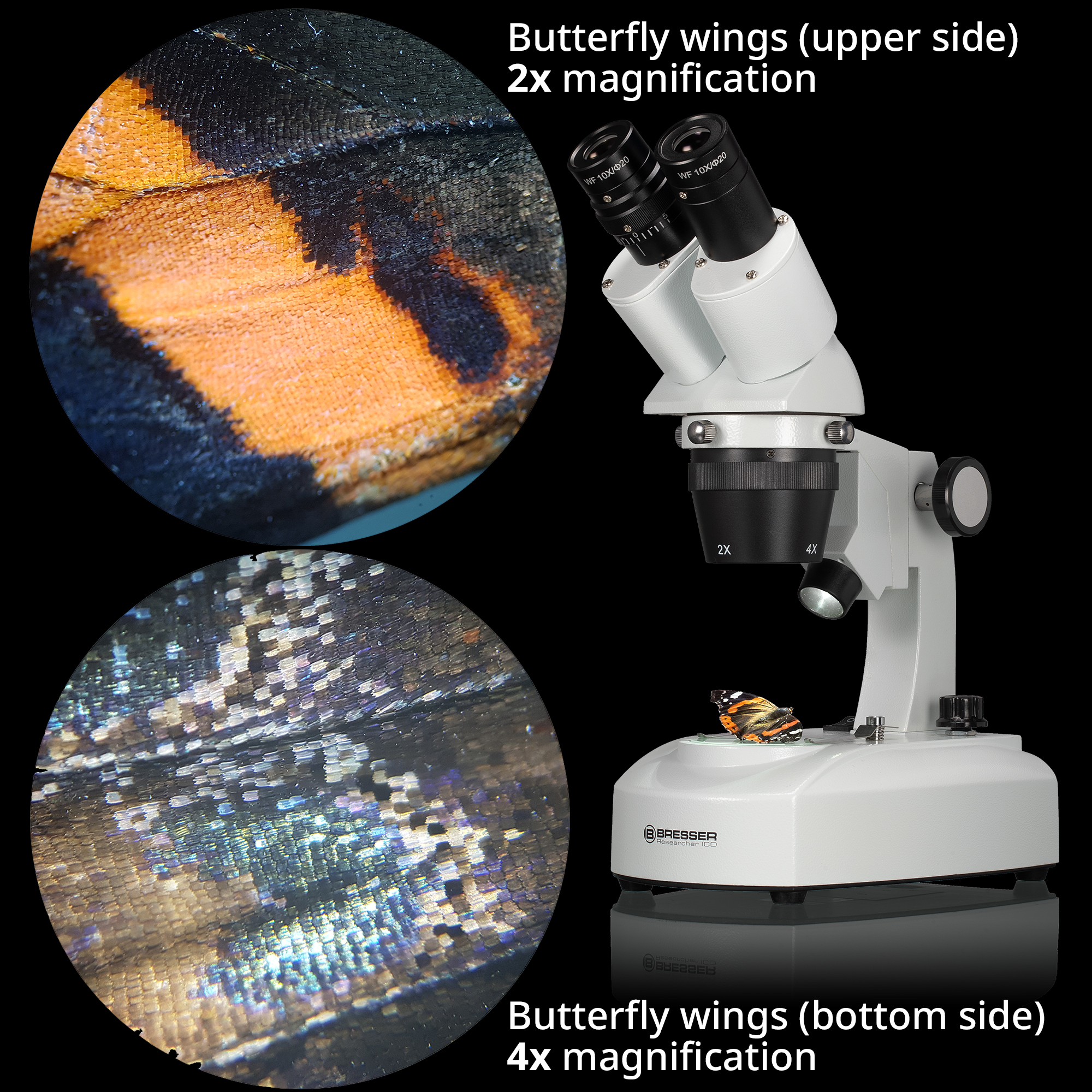 BRESSER Researcher ICD LED 20x-80x Stereo Microscope (Refurbished)